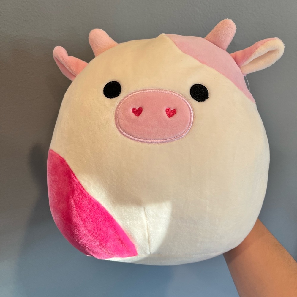 Hard to find Cow Caedyn Squishmallow